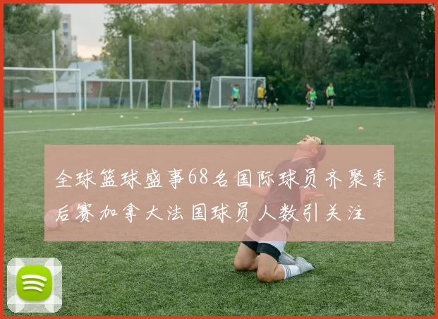全球篮球盛事68名国际球员齐聚季后赛加拿大法国球员人数引关注