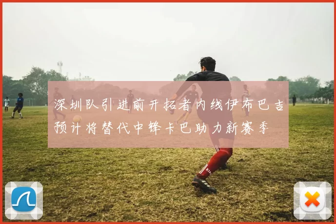 深圳队引进前开拓者内线伊布巴吉预计将替代中锋卡巴助力新赛季